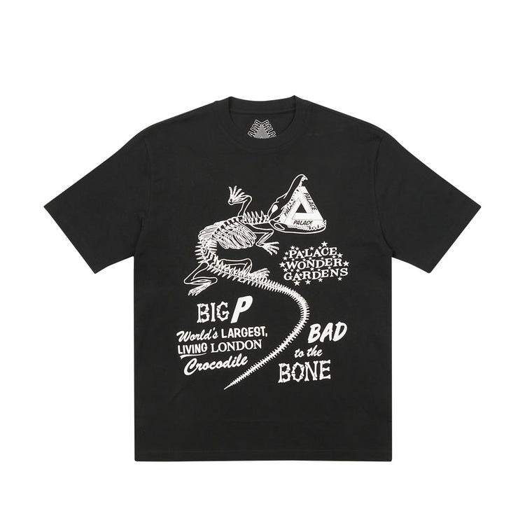 [해외] 팔라스 콤퍼 티셔츠 Palace Chomper T-Shirt 22FW